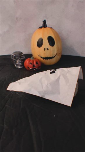 6.4K views · 927 reactions | If ghosts aren’t real, then explain this! | Rick the Hedgehog | Facebook