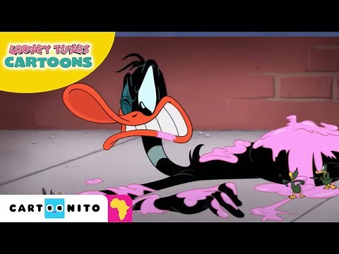 Looney Tunes Cartoons | Daffy Sticky Situation | Cartoonito Africa