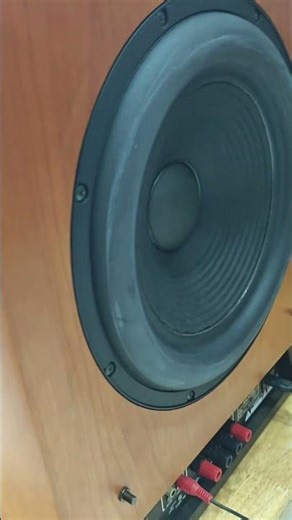 Pioneer S-W7 powered subwoofer with two 30cm woofers.