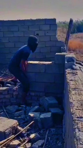 Demolishing a Brick Wall: Step-by-Step Guide