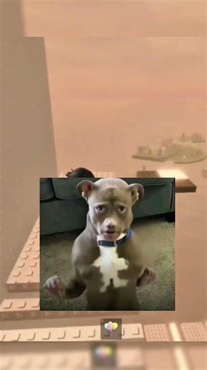 ya casi entramos a clases🥲🧑‍⚖️ #roblox #humor #apoyoplis #memes #adoptme