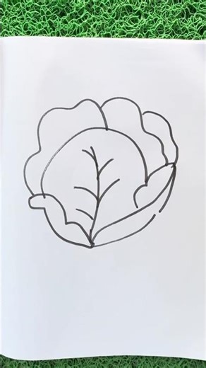 How to Draw Cabbage 🥬 vegetable #shorts#youtubeshorts #drawing #art