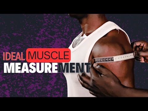 How to accurately measure your muscles