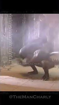 Alien vs Depredadory su CGI | #cine #peliculas #cgi #vfx