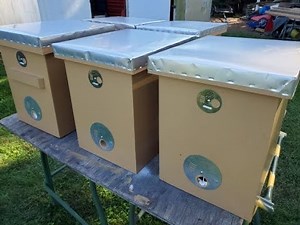 How to Paint and Finish Layens Swarm Box