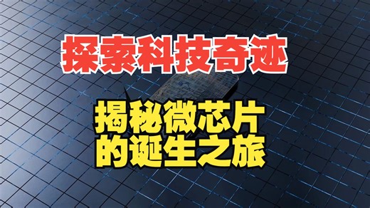 【必看科普力作】探索科技奇迹：揭秘微芯片的诞生之旅 How are Microchips Made (2024) 国语中字