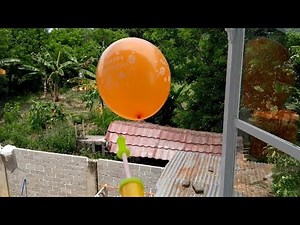 release balloons in the air and pop them #ballongame