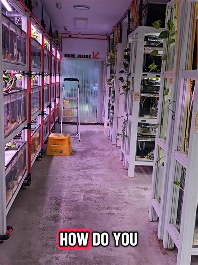 Effective Tips to Remove Stains from Your Fish Tank