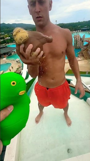 Green Alien on Water Slide with Monkey🤣