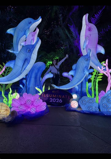 Explore the Illuminate Experience at Aquatica