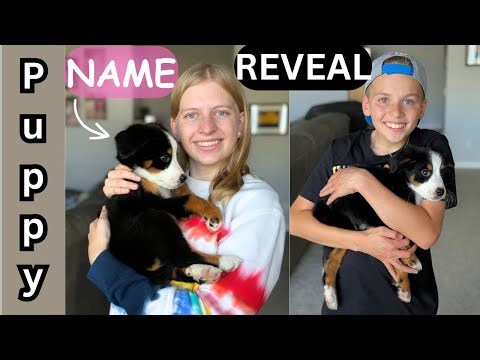 Puppy Name REVEAL