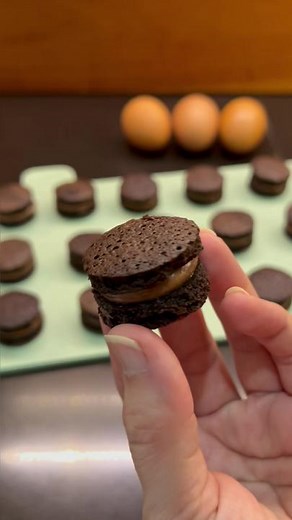 Delicious Chocolate Macaron Recipe with Mito Oven and Hand Mixer
