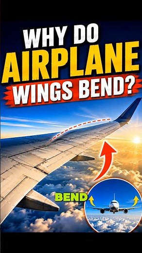 Why Do Airplane Wings Bend? ✈️ #facts #space #science