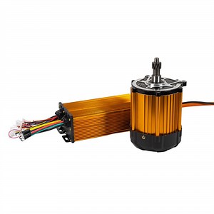 [Hot Item] Gold Tuk Tuk Electric Tricycle Gold Motor 48V 1000W 60V 1000W BLDC Motor