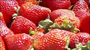 Santa Barbara County releases its 2021 Agricultural Crop Report