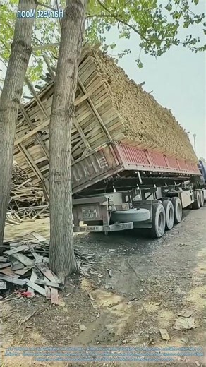 Entladen durch seitliches Kippen! Hydraulischer Holz-Kipp-Lkw