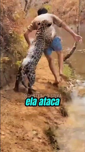 Why do JAGUARS attack HUMANS? 🐆 Richard Rasmussen and Leandro Silveira REVEAL