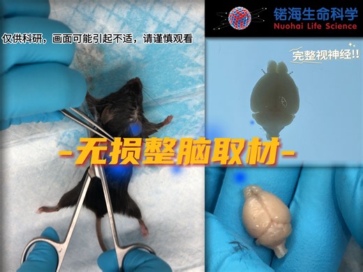 【合集】很详细的新手教程！ SketchUp全套新手基础入门精品教程-嘿掉进甜海了-神经生物学-哔哩哔哩视频