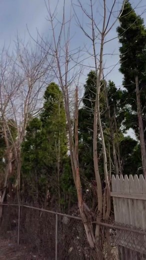 Exploring Ramadan Traditions with Prayer Beads