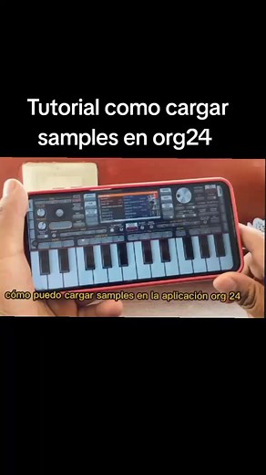 Tutorial completo para cargar samples en ORG 24