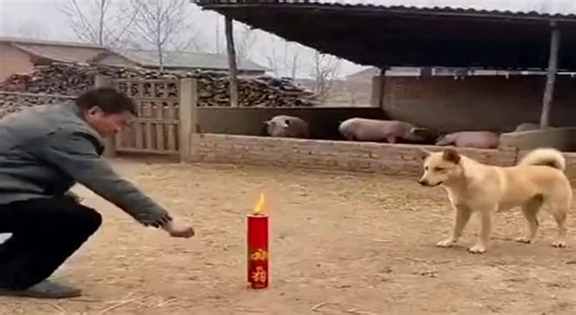 #funytiktok #Ai | funny video