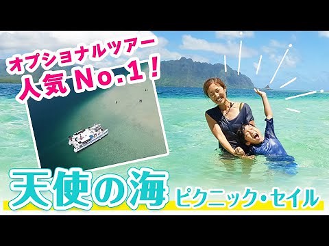 【ハワイ】一番人気のツアーに行ってきた！天使の海ピクニック・セイル