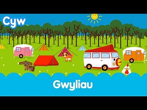Cân Gwyliau Cyw | Cyw's Holiday Song