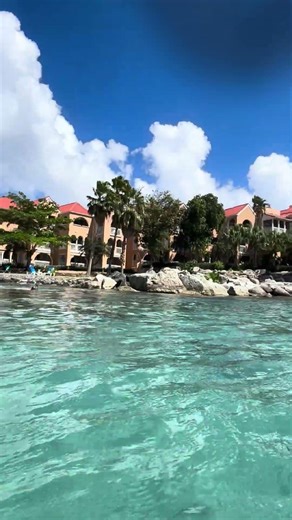 Beautiful St. Maarten! Iguanas, snorkeling, and more!