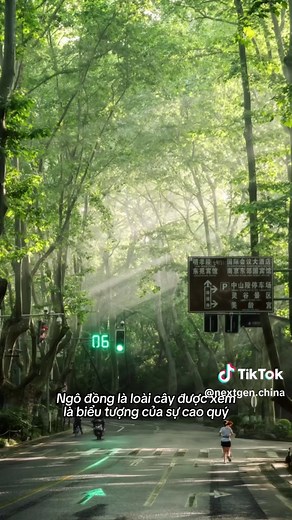 Đại lộ Nam Kinh: Tình Yêu Tưởng Giới Thạch và Tống Mỹ Linh