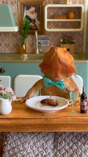 872K views · 10K reactions | Crunchy roaches, what a treat,With legs that snap and wings so neat.They scuttle ‘round in dark of night,But to my pets, they’re pure delight.A crunchy snack, a hearty crunch,The bearded dragon’s perfect lunch.They wiggle, squirm, and cannot flee,For my lizards, a delicacy! #mukbang | Whosagoodlizard | Facebook