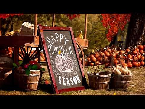 Pumpkin Patch Ambience: Autumn Farm, Fall Sounds, leaves, for Study & Relaxing, Fall Screensaver 🎃🍁🍂