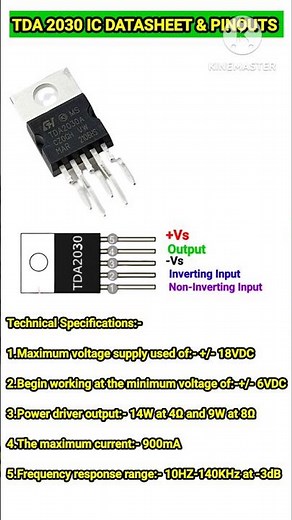 TDA 2030 IC Datasheet & Pinouts #shorts #diy #circuit