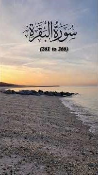 Surah Baqarah 🤲 #qurantranslation #quran