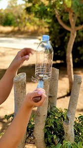 Recycle cans and plastic bottles into something useful! | 5-Minute Recycle