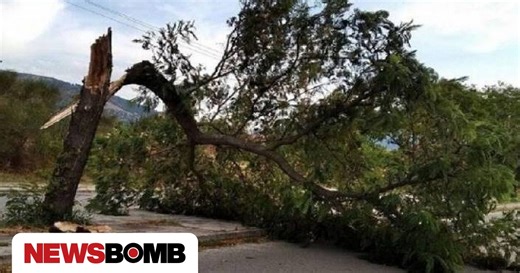 Καταστροφές σε όλη τη χώρα από τους ισχυρούς ανέμους - Οδηγίες για να προφυλαχτείτε