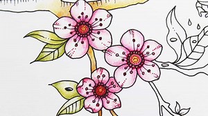 Tutorial : How to Colour Cherry Blossoms - Johanna Basford : Illustrator & Colouring Book Maker