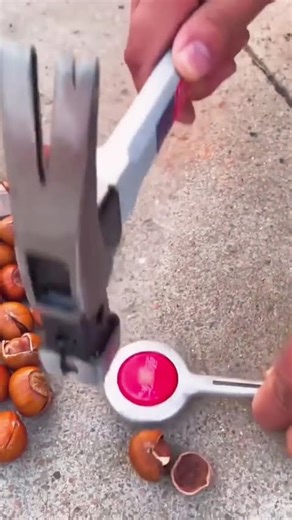 Hazelnut shelling process with portable tools