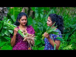 Healthy Taro Delights 🌿 | A Secret Village Recipe & Taste of Tradition