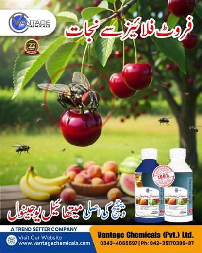 Fruit Fly Control by Vantage Chemicals | Effective Farm Protection