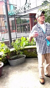 🌿 Exciting times at Eddie's Eco Garden! 🌱 James, our expert gardener, just gave us a sneak peek of what's coming next. This week, the garden is buzzing with changes—perfect time for a visit! You might even catch Mr. James in action, planting Eddie's veggies. Feel free to ask him for tips on growing your own fruits, veggies, and flowers. Don’t miss out! 🌻🍅🌸 * Thanks to our partner @aflac for sponsoring Eddie's Garden #EcoGarden #GardeningTips #SustainableLiving #eddiesgarden #aflac #garderne