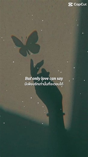 #เพลงเพราะโดนใจ🩶🩶🩶 #สตอรี่🖤🖤🖤