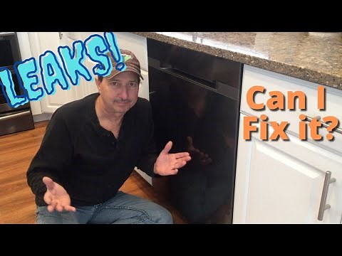 Samsung Dishwasher Leaks. LC Code. What to look for.