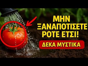 Μην ξαναποτίσετε ΠΟΤΕ έτσι! Δέκα μυστικά για τον κήπο σας, για ντομάτες, αγγούρια και πιπεριές.