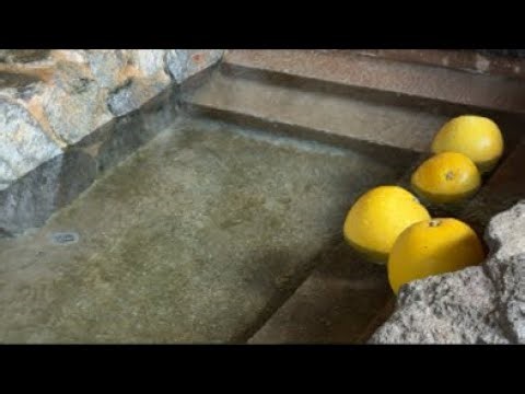 カピバラの長風呂対決