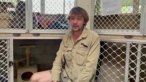 120K views · 627 reactions | BIG CARPET PYTHON INSIDE RSPCA NOOSA CAT...