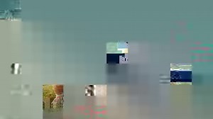 A Gigantic “Underwater Wall” Discovered in Google Earth that would cover the whole Planet . . . . #alien #space #ufo #science #spacex #cosmos #aliens #scifi #scifiart #planets #sciencefiction #spaceart #nasa #universe #galaxy #fantasyart #spaceship #spacetravel #future #nerd #artist #astronauts #astrophysics #astronomy #moon #art #halloween #fantasy #musk #technology | The Logic Book