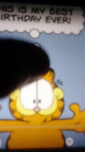 Garfield's Best Birthday Ever