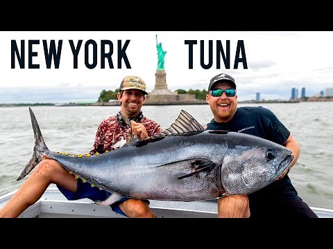 Unbelievable Tuna Fishing in New York City