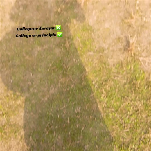 Understanding College Principles and Rules