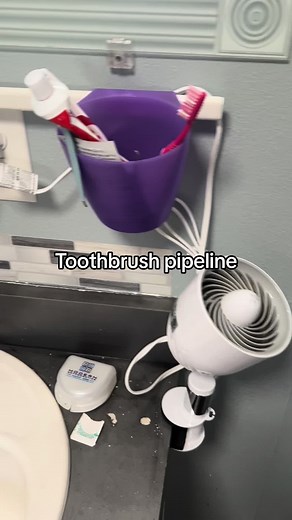 The Toothbrush Life Cycle: A Fun Routine Explained